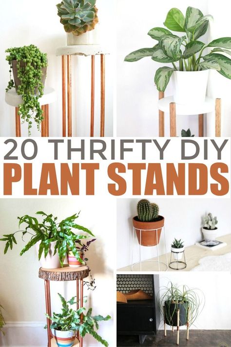 These 20 thrifty diy plant stands are very easy projects you can make yourself. I'm sharing some of my favourite DIY plant stands today, hoping these creative ideas will give you some inspiration for plant stands that stand out! Diy Multi Plant Stand Indoor, Diy Decorative Shelves, Houseplant Stand, Upcycled Plant Stand, Diy Plant Stands, Staging House, Aesthetic Interior Design, Corner Plant, Tall Plant Stands