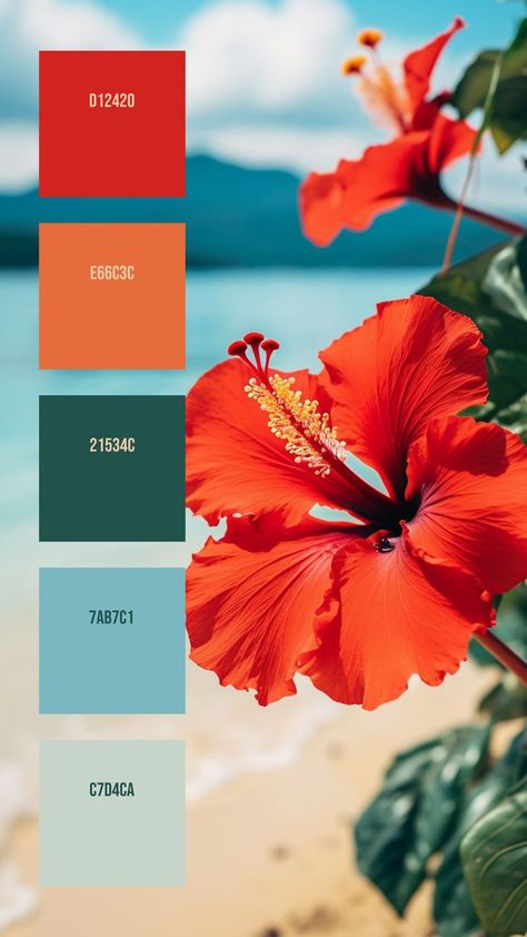 Colors:
D12420
E66C3C
21534C
7AB7C1
C7D4CA Hawaiian Colors Palette, Caribbean Colors Tropical, Beach Colour Pallet, Hibiscus Color Palette, Carribean Colors Palette, Latin Color Palette, Hawaiian Color Palette, Mamma Mia Color Palette, Color Combos Colours That Go Together