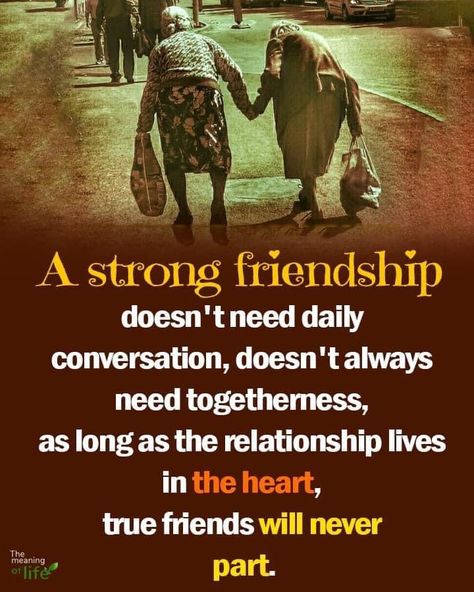 Senior Citizen Quotes, Soul Sister Quotes, Devotional Images, Strong Friendship, Friend Quotes For Girls, Special Friend Quotes, True Friends Quotes, Hug Quotes, The Meaning Of Life