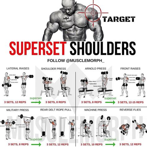 (Swipe Left) Complete 6 days a week superset workout plan!✅@musclemorph_ Monday: Chest Tuesday: Back Wednesday: Shoulders Thursday: Legs Friday: Arms Saturday: Abs Sunday: Rest - Enhance your progress with MuscleMorph Supplements from the LINK in our BIO ✔️MuscleMorphSupps.com . TAG YOUR GYM PALS #MuscleMorph Shoulder Exercises, Gym Antrenmanları, Gym Workout Chart, Gym Workouts For Men, Muscle Building Workouts, Weight Training Workouts, Workout Chart, Workout Plan Gym, Chest Workouts