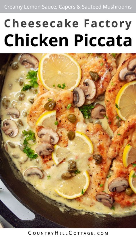 This creamy copycat Cheesecake Factory lemon piccata recipe is an easy and delicious one-pot meal ready in 30 minutes. You get perfectly golden-brown, tender chicken, topped with a rich and bright lemon sauce, tangy capers, and fresh parsley. It's quick enough for a midweek meal, yet elegant enough to serve guests on a weekend dinner party. And something everyone will love! It's a one-pot meal that is ready to eat in about 30 minutes. That also means easy clean-up!| CountryHillCottage.com Chicken Piccata Cheesecake Factory, Lemon Piccata, Cheesecake Factory Chicken, Chicken Piccata Easy, Chicken Piccata Pasta, Pizza Dishes, Copycat Cheesecake Factory, Piccata Sauce, Lemon Chicken Piccata