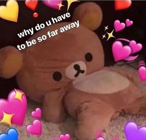 Flirty Memes, Wholesome Pictures, Couple Memes, Response Memes, Söt Katt, Snapchat Stickers, Cute Love Memes, Current Mood Meme, Crush Memes