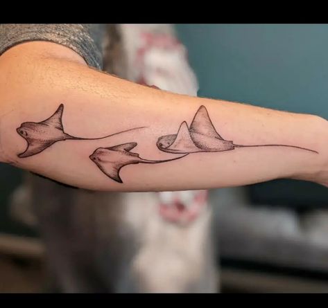 Trashy Tattoo Placement, Stink Ray Tattoo, Stingray Tattoo Back Of Arm, Sting Ray Tattoo With Flowers, Cownose Sting Ray Tattoo, Cow Nose Ray Tattoo, Stingray Arm Tattoo, 3 Stingray Tattoo, Stingray Leg Tattoo