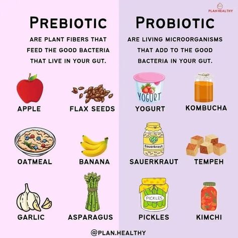 thegurlhealth on Instagram: "The human gastrointestinal tract is colonised by a complex ecosystem of microorganisms. Intestinal bacteria are not only commensal, but they also undergo a synbiotic co-evolution along with their host. Beneficial intestinal bacteria have numerous and important functions, e.g., they produce various nutrients for their host, prevent infections caused by intestinal pathogens, and modulate a normal immunological response. Therefore, modification of the intestinal microbi The Fast 800, Nutrition Poster, Fast 800, Prebiotic Foods, Clean Eating Plans, Gastrointestinal Tract, Healthy Facts, Prebiotics And Probiotics, Probiotic Foods