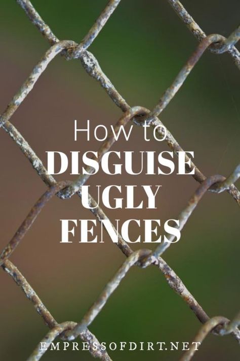 How to hide ugly chainlink fence and other tips to improve privacy in your backyard. #fencing #gardenideas #backyardideas #empressofdirt Living Fence Ideas, Cheap Privacy Fence, Cyclone Fence, Chain Fence, Diy Backyard Fence, Diy Privacy Fence, Privacy Fence Screen, Hiding Ugly, Diy Garden Fence