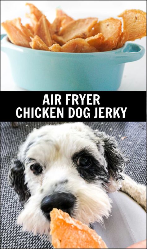 If you like making your own dog snacks try these super easy homemade chicken dog jerky treats made in the Air Fryer. All you need is chicken and an air fryer and you'll have a healthy dog snack for your favorite dog to chew on. Chicken Jerky For Dogs, Jerky For Dogs, Dog Popsicles, Healthy Dog Snacks, Dog Jerky, Side Hussle, Treat Business, Chicken Dog Treats, Animal Treats