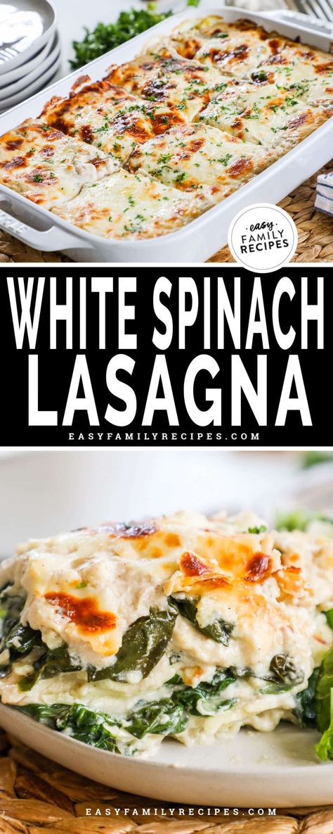 White Spinach Lasagna, White Lasagna Recipe, Lasagna With Spinach, Spinach Casserole Recipes, Veggie Lasagna Recipe, Lasagna Recipe With Ricotta, Vegetarian Lasagna Recipe, Creamy White Sauce, White Lasagna