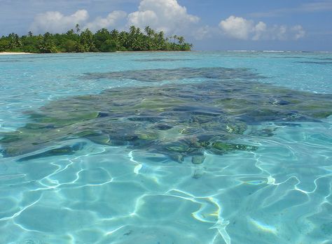 British Indian Ocean Territory. I can't believe how clear the water is!!!!!!! Nature Untouched, P3 Orion, Chagos Archipelago, Tropical Scenery, Navy Day, Diego Garcia, British Empire, Coconut Palm, Island Beach