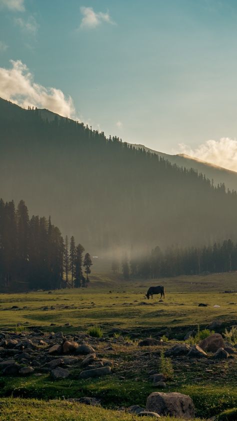 Mountains green horse trees India Journey Escape, Pakistan Wallpaper, India Travel Places, Nature River, Travel Infographic, Kashmir India, Profile Pictures Instagram, Photo Beautiful, Jammu And Kashmir