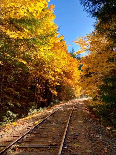 E&N Railway. Autumn colors on the rails. Vancouver Island, British Columbia, Canada. Photo by Per@vicbcca. Source Flickr.com Railroad Track Pictures, Reference Places, Canada Train, European Bucket List, Track Pictures, Old Trains, Trainspotting, Western Canada, Beautiful Sites