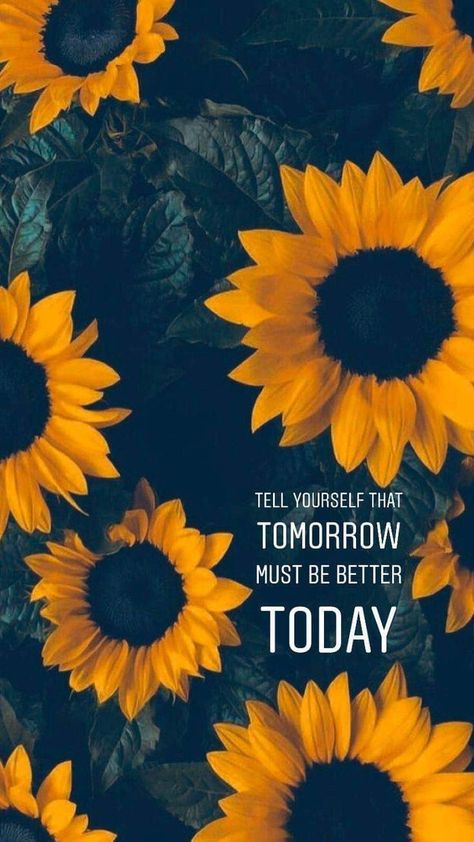 Sunflower Quote Wallpaper, Sunflower Aesthetic Wallpaper, Sunflower Wallpaper Iphone, Sunflower Iphone Wallpaper, Sunflower Quotes, Positive Quotes Wallpaper, Sunflowers Background, Beautiful Wallpapers For Iphone, Sunflower Pictures