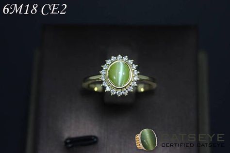 Gorgeous cats eye ring to make your style stunning @ https://shop.catseye.org.in/natural-cats-eye-lehsunia-gemstone-for-ketu.html Eye Engagement Ring, Cat Eye Jewelry, Cats Eye Ring, Gorgeous Cats, Cats Eye Stone, Gold Rings Jewelry, Dream Engagement, Ring Ideas, Stone Engagement Ring