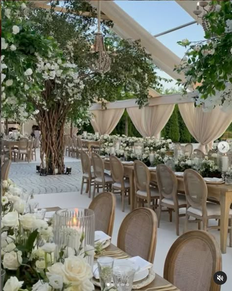 Garden Chic Wedding Decor, Hamptons Wedding Aesthetic, Trees Wedding Decor, Tree Wedding Reception, Garden Reception Wedding, Day Time Wedding, Unique Wedding Decoration Ideas, Married Decor, Simple Wedding Decoration