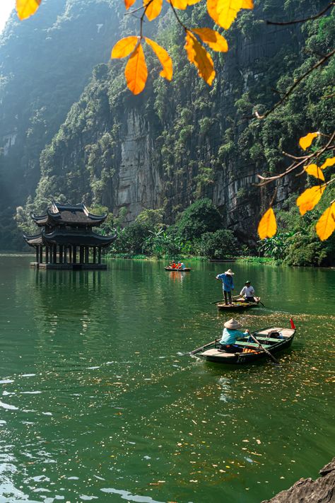 Honeymoon Destinations, Vietnam Itinerary, Beautiful Vietnam, Vietnam Voyage, Southeast Asia Travel, Dream Travel Destinations, Future Travel, Vietnam Travel, Boat Trips