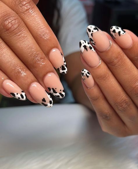 Cute Simple Cow Print Nails, Cow Print French Tip Nails Almond, Cow Print Tips Nails, Cute Nail Designs Birthday, Cowboy Print Nails, French Tip Country Nails, French Tip Nails Cow Print, Cute Nail Designs Cow Print, Cute Cow Print Nail Ideas