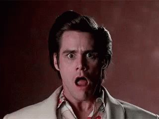 Omg Shocked GIF - Omg Shocked OhMyGod - Discover & Share GIFs Reckless Behavior, Shocked Face, Workplace Humor, Ace Ventura, Movie Quotes Funny, Jim Carrey, Movie Gifs, Cute Couple Selfies, Funny Dog Videos