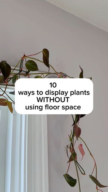 20K views · 1.3K likes | Samantha Hermann on Instagram: "Do you have unique ways to display houseplants? I’d love to hear it in the comments! When you have a lot of plants you have to get creative 😅 All of these work great for people with kids or pets that mess with the plants if they’re on the ground. Remember, light is still so important when we’re putting plants on the walls. You may need to add a grow light if you have a spot you want a plant but the sunlight is low. I have a special discount code that stacks with Amazon discounts right now for my favorite clip light! They’re perfect for plants in tight spaces or for that extra boost of light. Comment ‘light’ and I can send you the link & code. I’ve linked all I can in my Amazon storefront in my bio — if you’d like to shop what y Creative Plant Grow Lights, Plant Shelves In Front Of Sliding Glass Door, Shelving With Plants, Indoor Plant Display With Grow Lights, Plant Shelf Ideas With Grow Light, Indoor Plants Small Spaces, Indoor Plant Wall With Grow Lights, Plant Ideas For Living Room, Unique Ways To Hang Plants Indoors