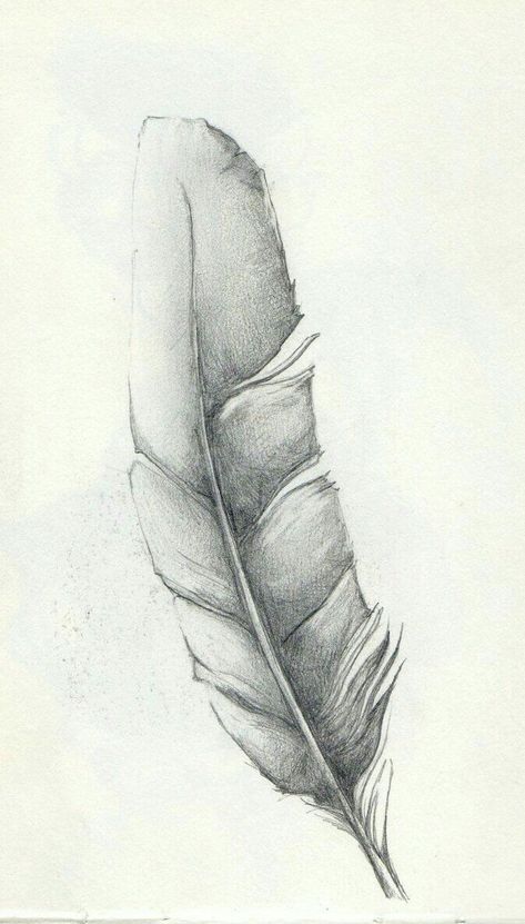 Eagle Feather Tattoos, Feather Sketch, Feather Mandala, Tattoo Feather, Feather Drawing, Watercolor Feather, Art Drawings Sketches Pencil, Feather Painting, Feather Art