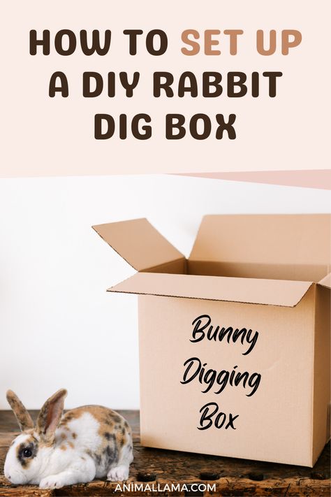 Diy Rabbit Hideout Cardboard, Diy Bunny Furniture, Diy Digging Box For Rabbit, Rabbit Dig Box Ideas Diy, Diy Digging Box For Bunny, Diy Rabbit Accessories, Digging Box For Rabbits, Rabbit Obstacle Course Diy, Dig Box For Rabbit