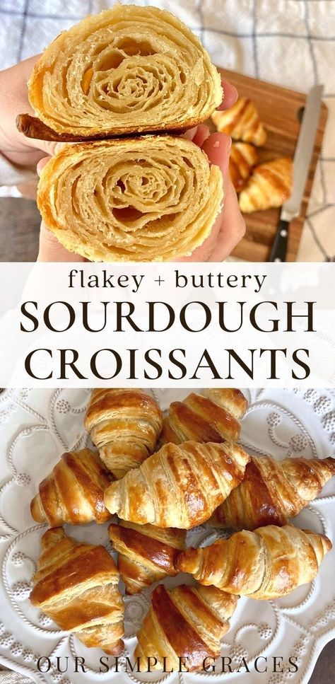 Sourdough Snacks, Sourdough Croissants, Croissants Recipe, Snacks Dinner, Recipe Using Sourdough Starter, Sourdough Bread Starter, Dough Starter, Sourdough Starter Discard Recipe, Homemade Sourdough Bread