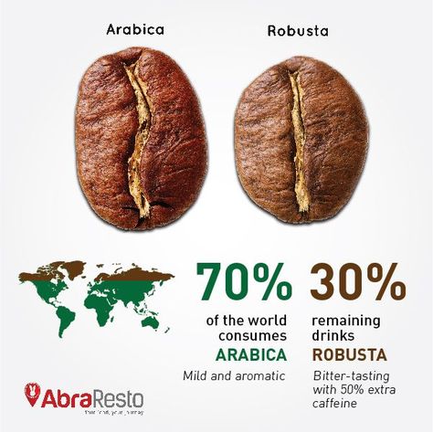 Arabica Robusta, Types Of Coffee Beans, Robusta Coffee, Coffee Infographic, Coffee Facts, Coffee Bean Grinder, Coffee Barista, Gourmet Coffee, Arabica Coffee