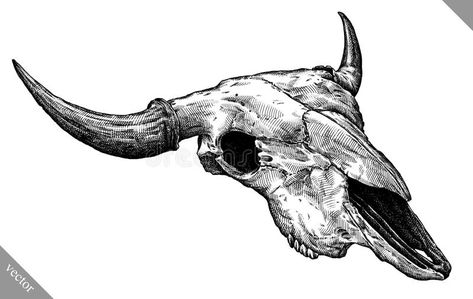 Longhorn Skull Drawing, Skull Side View, Cow Skull Tattoos, Bull Skull Tattoos, Skull Drawings, Longhorn Skull, Bull Tattoos, Buffalo Skull, Skulls Drawing