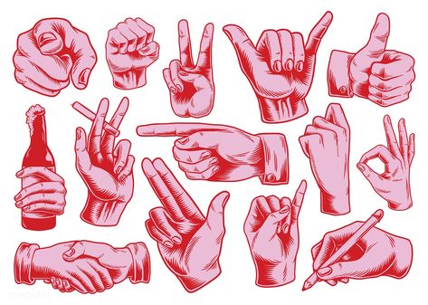 Collection of illustrated hand signs | premium image by rawpixel.com Hand Illustration Drawing, Hand Sign Tattoo, Ok Hand Sign, Photoshop For Beginners, Hands Vector, Hand Graphic, Hand Signs, Pointing Hand, Beginner Photo Editing