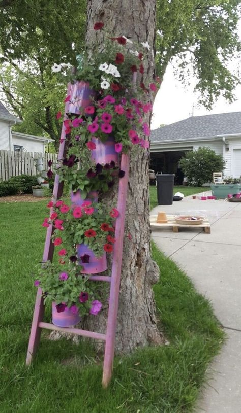 Apaneca, Old Ladder, نباتات منزلية, Front Yard Garden Design, Garden Decor Projects, Garden Crafts Diy, Diy Backyard Landscaping, Garden Yard Ideas, Vegetable Garden Design