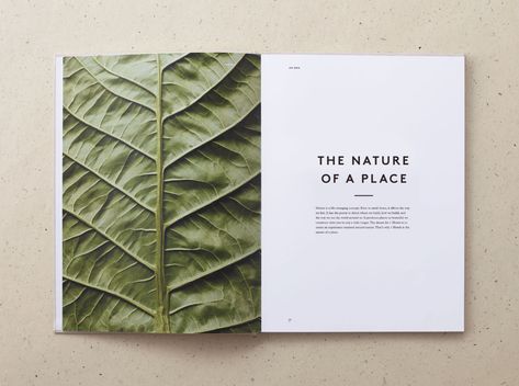 26 Minimalist Designs For Your Next Project | Design Studio Photo Branding, Nature Hotel, Design De Configuration, Layout Editorial, Mises En Page Design Graphique, 달력 디�자인, Book And Magazine Design, Buch Design, 카드 디자인