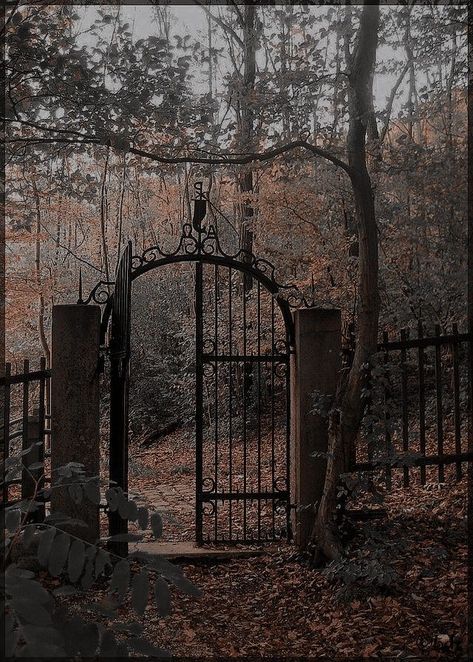 Tumblr, Dark Academia Woods, Abandoned Aesthetic Dark, Old Manor Aesthetic, Dark Acedamia House, Garden Dark Academia, Victorian Garden Aesthetic, Dark Academia Garden, Rowan Aesthetic