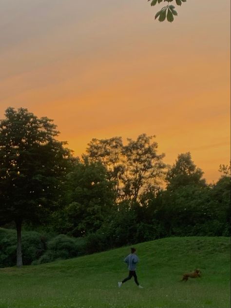 Running Nature Aesthetic, Dog Run Aesthetic, Dog Nature Aesthetic, Dog Running Aesthetic, Relaxing Summer Aesthetic, Dogs Running In Field, Running With Dog Aesthetic, Running In A Field Aesthetic, Running Through Field Aesthetic