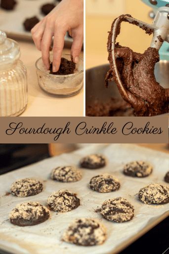 Sourdough Crinkle Cookies. Fudgy chocolate and sourdough tang makes the perfect christmas cookie! Fudgy Brownie, Frozen Cookies, Parchment Paper Baking, Sour Dough, Crinkle Cookies, Cookie Tray, Christmas Brunch, Fudgy Brownies, Winter Recipes