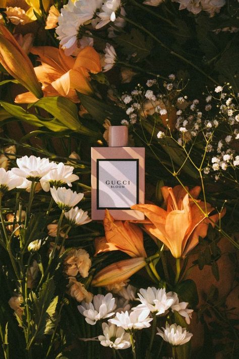 Gucci Bloom photography by Nuria Val #product #photography #productstyling #perfume #fragrance #scent #beauty #floral Gucci Perfume, Gucci Bloom, Creative Advertising Photography, Fragrance Photography, Perfume Photography, Photography Themes, Study Board, Cosmetics Photography, Life Nature