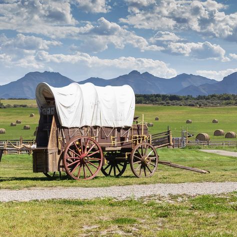 Oregon Trail Unit Study, Lone Cowboy, Pioneer Day, Pioneer Life, Westward Expansion, The Oregon Trail, Covered Wagon, Oregon Trail, American West