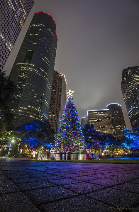 Downtown Houston Texas, Green Christmas Tree Decorations, Texas Winter, Friendsgiving Decorations, Texas Christmas, Houston City, Christmas World, Christmas In The City, Houston Photography