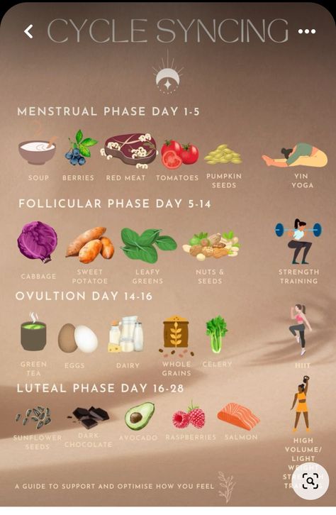 Hormone Nutrition, Cycling Food, Cycle Syncing, Healthy Hormones, Menstrual Health, Feminine Health, Hormone Health, Self Care Activities, Health Facts