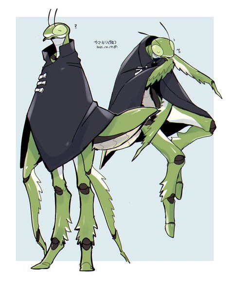 #120145 - safe, artist:sannota272, arthropod, insect, praying mantis, anthro, ambiguous gender, antennae, cloak, solo - Furbooru Clothes Digital Art, Bug Art, Alien Concept, Alien Concept Art, Praying Mantis, Fantasy Creatures Art, Art Green, Monster Design, Creature Concept Art