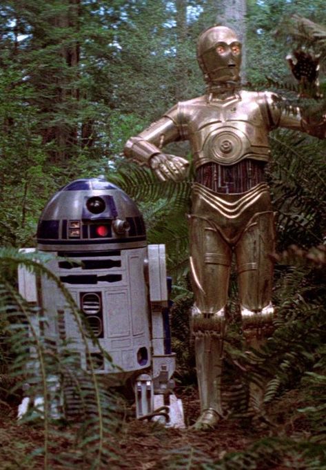 Old Star Wars Aesthetic, Star Wars Return Of The Jedi, Endor Star Wars Aesthetic, Return Of The Jedi Aesthetic, Star Wars Prequels Wallpaper, Star Wars Green Aesthetic, Return Of The Jedi Wallpaper, Star Wars Prequels Aesthetic, Star Wars Astethic