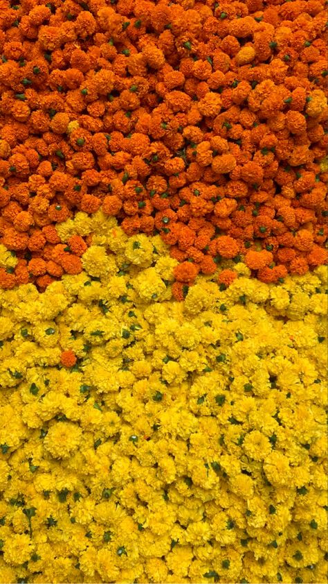 Yellow Indian Aesthetic, Indian Festive Aesthetic, Ganpati Instagram Story, Diwali Aesthetic Pictures, Venusian Aesthetic, Diwali Flowers, Kochi Metro, Diwali Aesthetic, Diwali Wallpapers