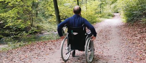 Kafka Granite’s Guide to Wheelchair-Accessible Pathway Materials | Kafka Granite, LLC City Parks, Petal Dust, Kenya Travel, Spotted Animals, Kenya Safari, Garden Entrance, Lake Living, Wheelchair Accessible, Garden Pathway