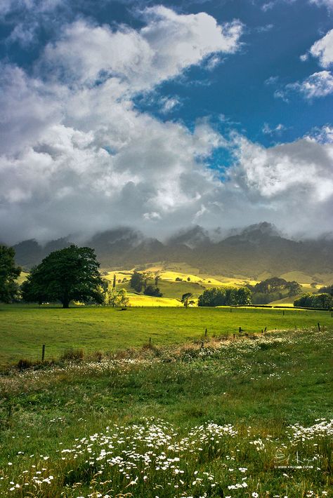 New Zealand Takaka New Zealand, House In New Zealand, Nature New Zealand, New Zealand November, Waikato New Zealand, Summer In New Zealand, New Zealand Christchurch, New Zealand Aesthetic City, Nee Zealand