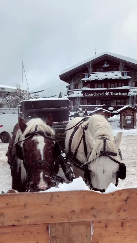 Kirsty Poole(@kirstycgpoole) on TikTok: #courchevel1850 #courchevel #horseandcarriage #winterscene #frenchalps #luxurytravelexpert #snowyseason #sweaterweathertheneighbourhood #fyp #horses🐴 Courchevel 1850, French Alps, Luxury Aesthetic, Travel Inspo, Ski Wear, Winter Scenes, Places To Go, Bucket List, Skiing