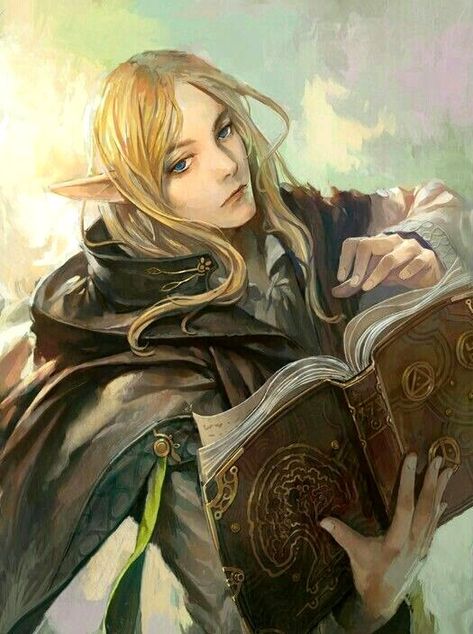 Elf Scholar Dnd Elves, Male Elf, Elves Fantasy, Female Elf, Elf Art, High Elf, Dungeons And Dragons Characters, Wow Art, Fantasy Concept Art