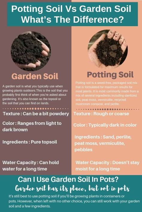 If you’re thinking of the differences between potting soil vs garden soil , it may already be a bit confusing with if is topsoil the same as potting soil and when to use each.  ......The answer to this question is, no.  So, What's The Difference Between Topsoil And Potting Soil? Garden soil and potting mix may sound like the same to you, but you should know the difference.  Knowing more about these two can help you decide which one will work best with your gardening setup and the types of plants Soil Mixture, Mushroom Compost, Garden Types, Better Homes And Garden, Top Soil, Grass Seed, House Plants Indoor, Garden Soil, Organic Matter