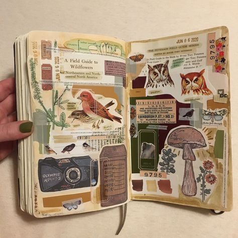 Junk Sketchbook Ideas, Scrapbook Ideas Nature, Nature Journal Aesthetic, Nature Scrapbook Ideas, Junk Scrapbook Ideas, Journal Layout Aesthetic, Junk Journal Layout Ideas, Junk Journal Scrapbook, Goblincore Journal