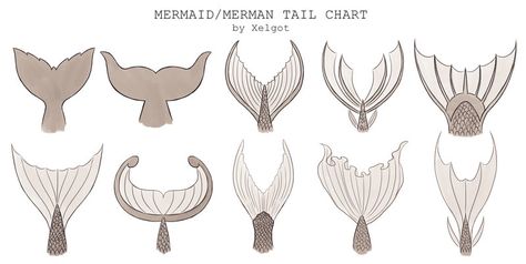 “Mermaid/Merman Tail chart by Xelgot This chart was commissioned to use for reference. It might be help for others too. ” Merman Tails, Mermaid Drawings, Mermaids And Mermen, Mermaid Life, Mermaid Tails, Poses References, Mermaid Art, Drawing Tutorials, Mermaid Tail