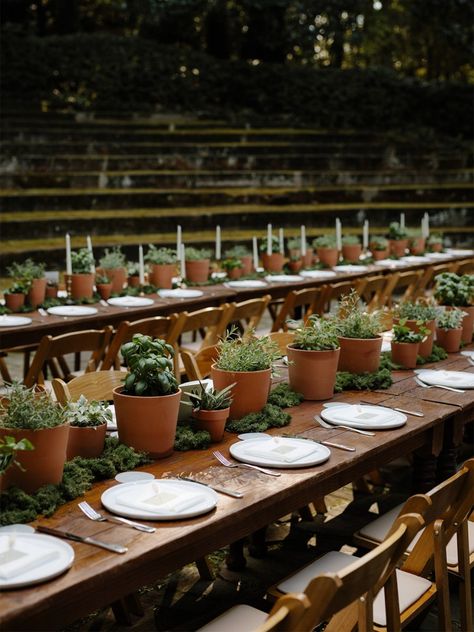 Terracotta Table Centerpiece Wedding, Herbs As Centerpieces Wedding, Terra Cotta Pots Wedding Centerpieces, Terra Cotta Pots Centerpieces Table Decorations, Terra Cotta Pot Tablescape, Herbs As Centerpieces, Propagated Plant Centerpiece, Herbs In Terra Cotta Pots, Terra Cotta Tablescape