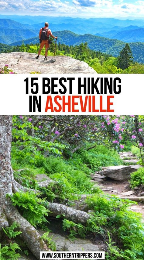 15 Best Hiking in Asheville Best Hikes In Asheville Nc, Hikes Near Asheville Nc, Hiking In Asheville Nc, Asheville Hiking Outfit, Nc Hiking Trails, What To Wear In Asheville Nc Summer, Things To Do Asheville Nc, Things To Do In Asheville Nc, Asheville Nc Things To Do In