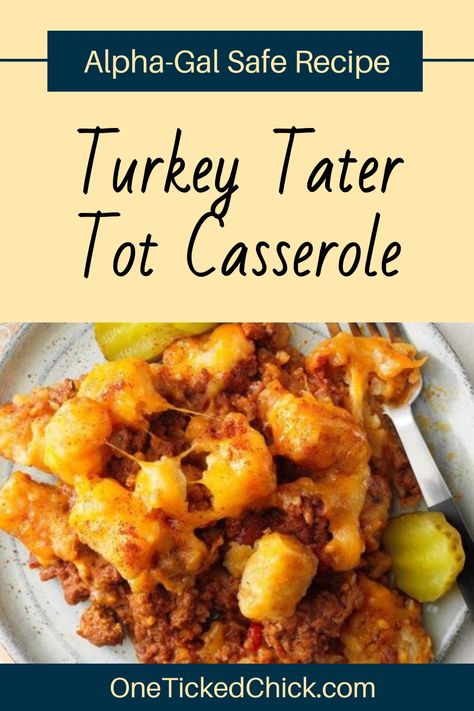 Tater tot casserole is delicious...but the ground beef and cheese can cause an allergic reaction if you have Alpha-Gal Syndrome (mammal allergy). Not fun! So, I modified my favorite tater tot casserole recipe to be completely Alpha-Gal safe and mammal-free. With a few substitutions, it tastes almost the same! Check out the recipe on my blog :) #recipe #mammalfree Turkey Tater Tot Casserole, Tater Tot Casserole Recipe, Alpha Gal, 4th Of July Recipes, Tater Tot Casserole Recipes, Tot Casserole, Tater Tot Casserole, Ground Turkey Recipes, Recipe For Mom