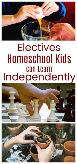 Homeschool Electives, Free Homeschool Curriculum, Homeschool Education, Homeschool Inspiration, Homeschool Kids, School Schedule, Homeschool High School, Homeschool Schedule, Homeschool Learning